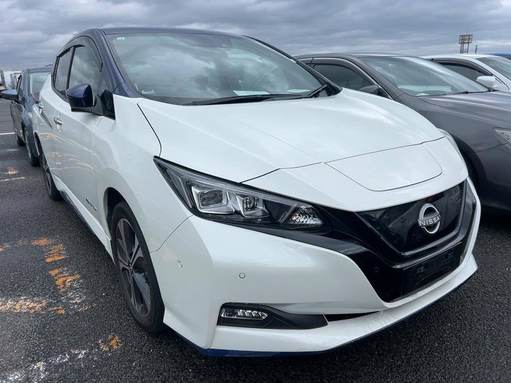 2021 Nissan Leaf