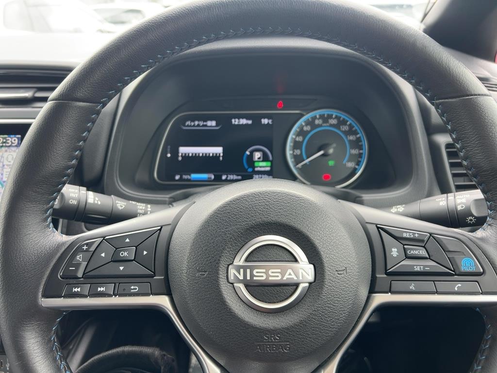 2021 Nissan Leaf