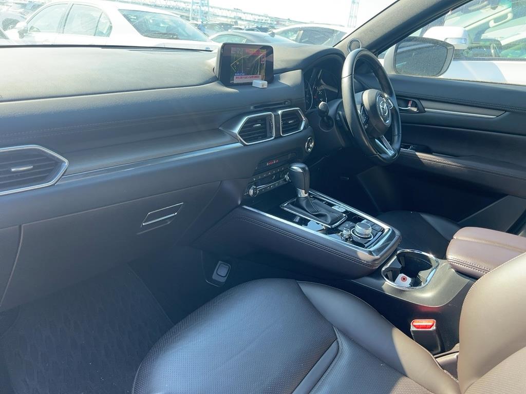 2019 Mazda CX-8