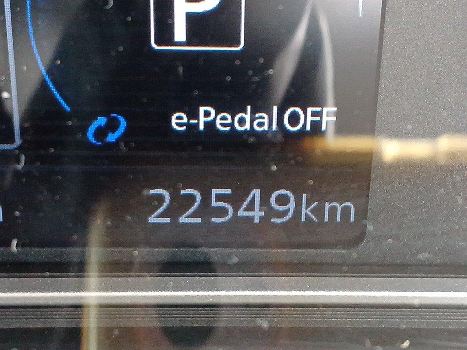 2021 Nissan Leaf