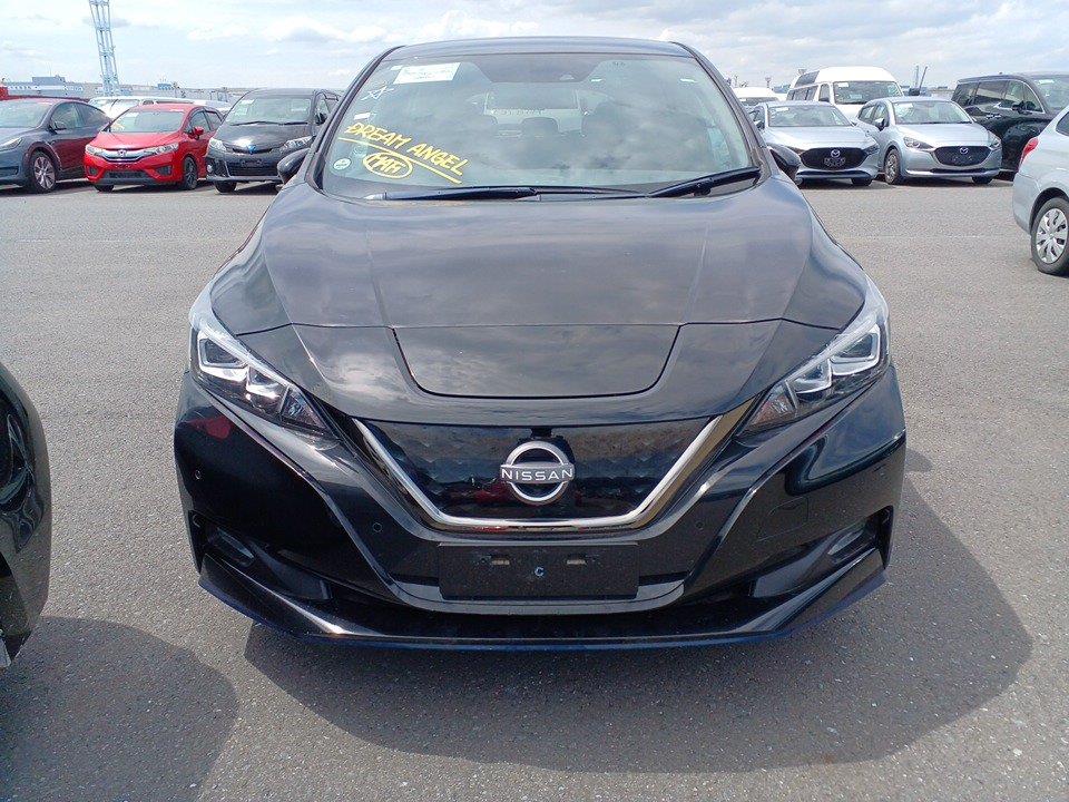 2021 Nissan Leaf