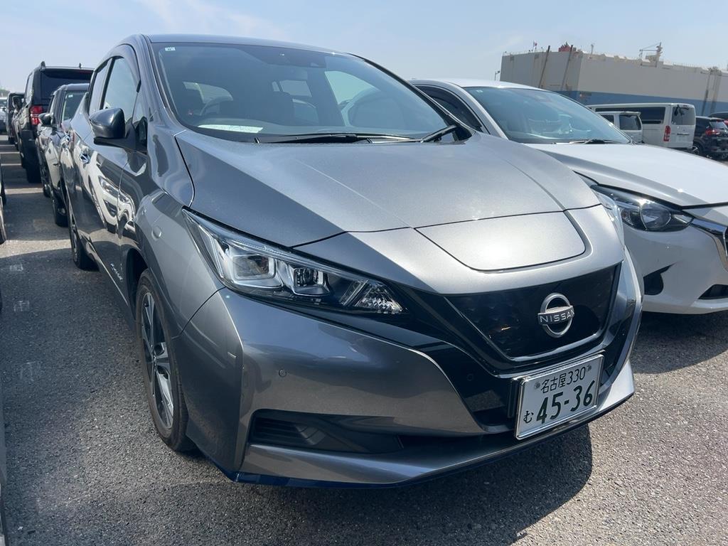 2021 Nissan Leaf