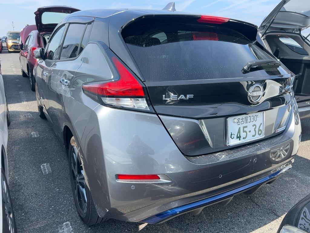 2021 Nissan Leaf